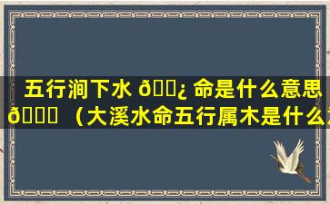 五行涧下水 🌿 命是什么意思 🐝 （大溪水命五行属木是什么意思）